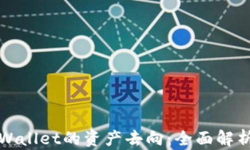 
如何追踪TPWallet的资产去向：全面解析与实用技巧