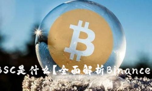 TPWallet中的BSC是什么？全面解析Binance Smart Chain