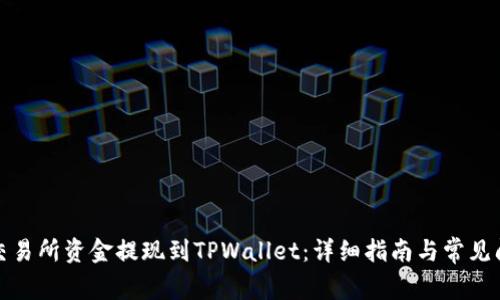 如何将交易所资金提现到TPWallet：详细指南与常见问题解答