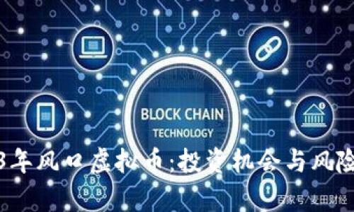 2023年风口虚拟币：投资机会与风险分析