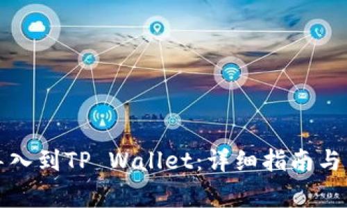 如何将其他导入到TP Wallet：详细指南与常见问题解答